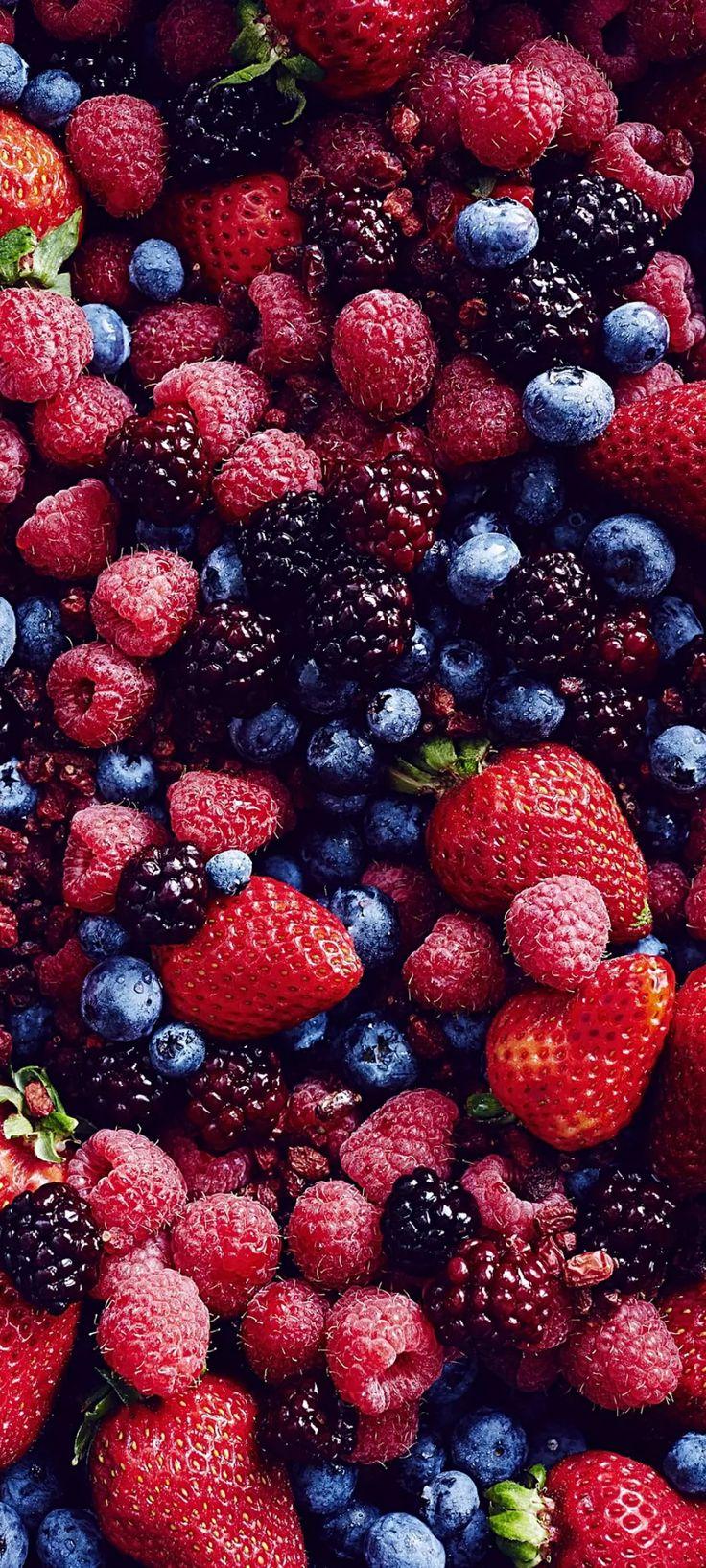 Sylvan Symphony: Nature's Berry Harvest Melody