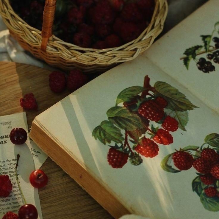 Farm Whisperer's Exquisite Berry Selection